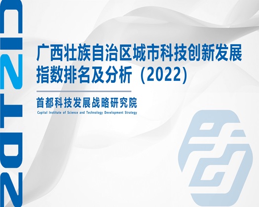 操女生小穴逼视频网站【成果发布】广西壮族自治区城市科技创新发展指数排名及分析（2022）